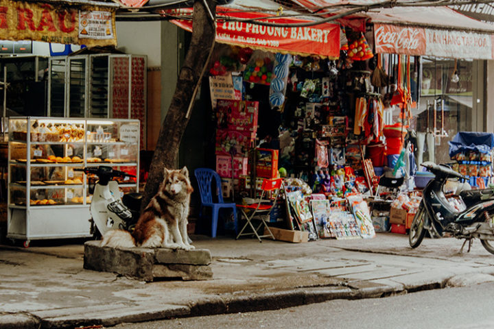 Die Altstadt von Hanoi Vietnam