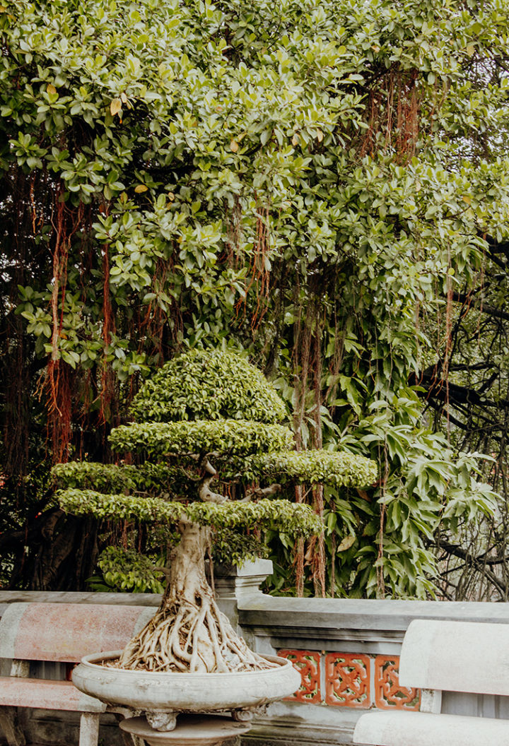 Ngoc Son – Jadeberg-Tempel Hanoi