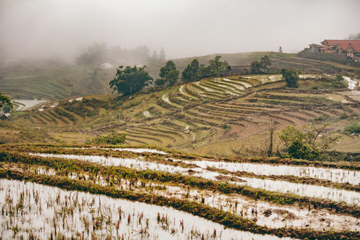 Sapa - Vietnam: auch bei schlechtem Wetter mystisch