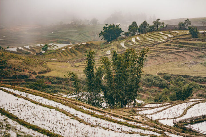 Sapa - Vietnam: auch bei schlechtem Wetter mystisch