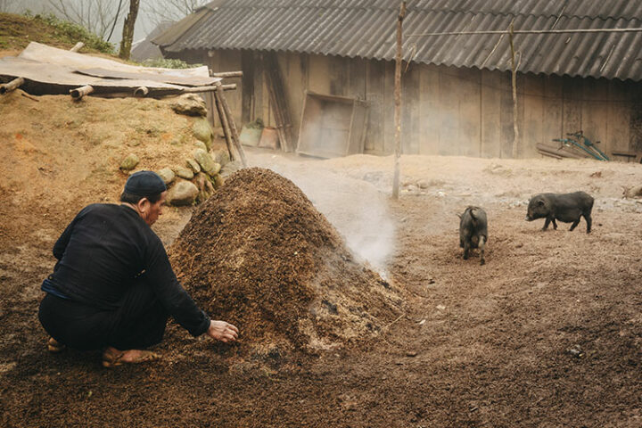 Sapa - Vietnam: 9 Tipps zum Trekking in der faszinierenden Bergwelt