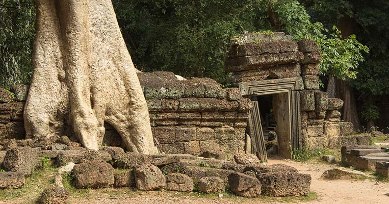 In den Ruinen von Ta Prohm