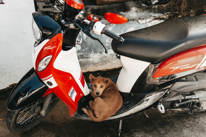 Koh Samui – 9 Sehenswürdigkeiten & echte Geheimtipps