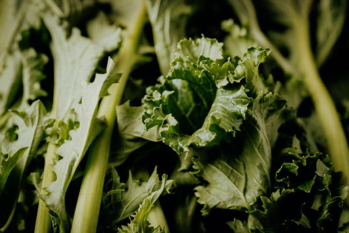 Cima di rapa - Stängelkohl aus Apulien