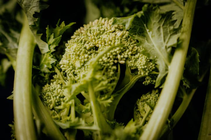 Cima di rapa - Stängelkohl aus Apulien