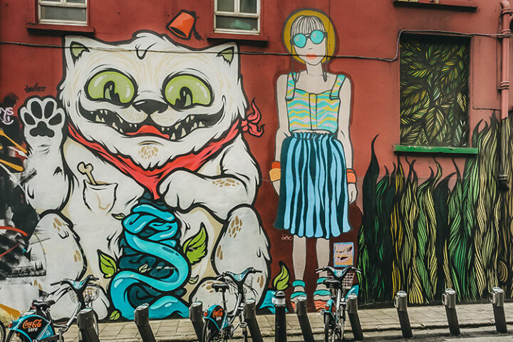 Dublin Bikes Fahrradtour