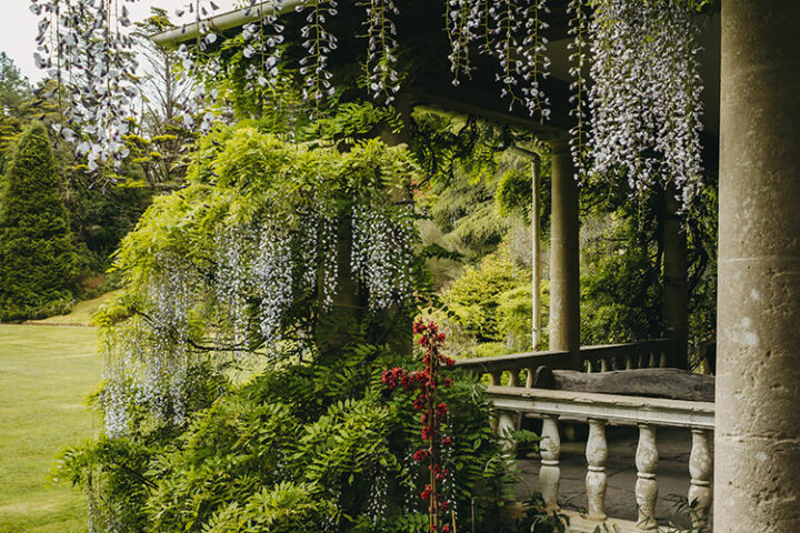 Die Insel Garinish, lnacullin, Bantry Bay, Irland