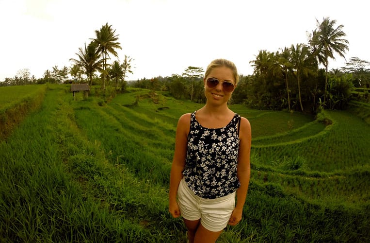 Die Reisfelder in Ubud
