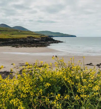 Wild Atlantic Way: 8 Schöne Orte entlang der Küstenstraße