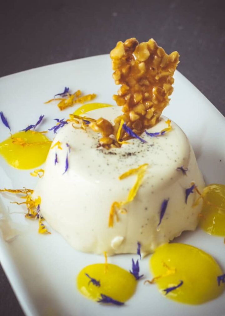 Panna Cotta auf Mangopüree mit selbst gemachtem Haselnusskrokant