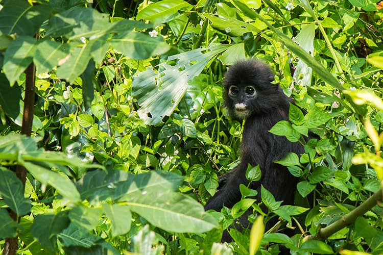 Und der hier was besonders süß