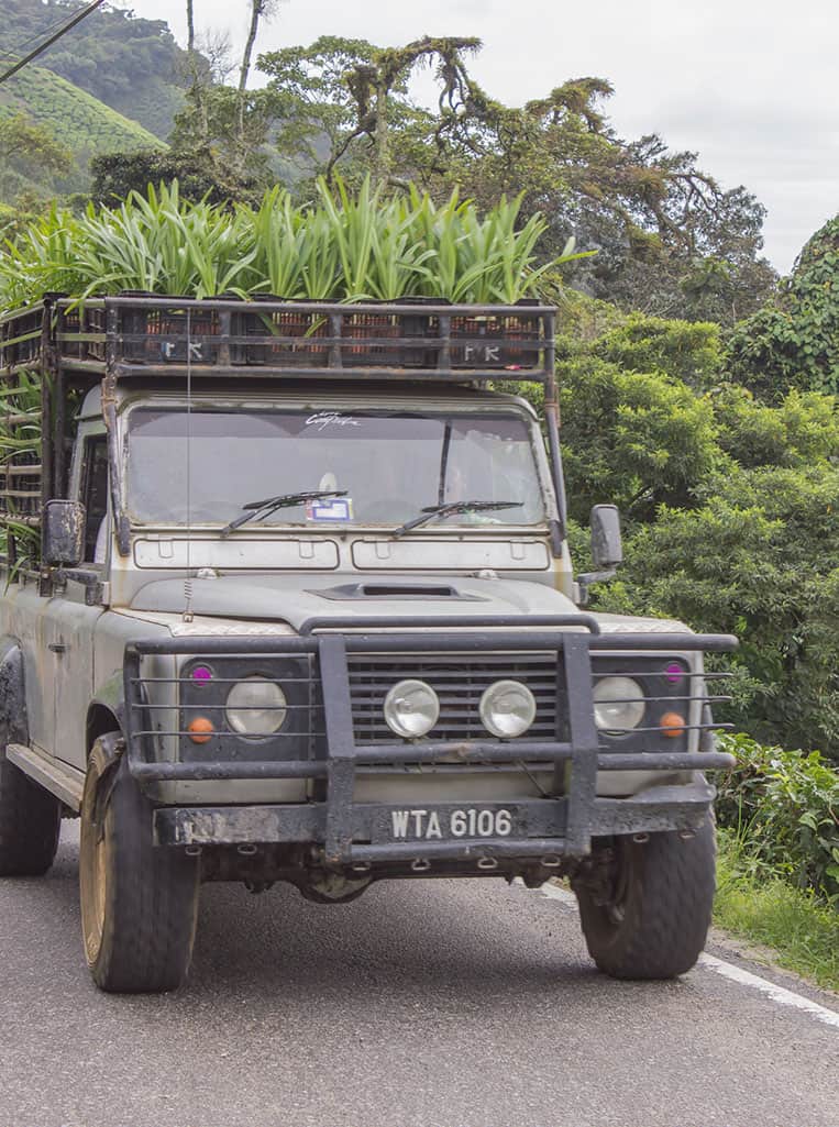 mit dem Land Rover wird in den Cameron Highlands alles transportiert
