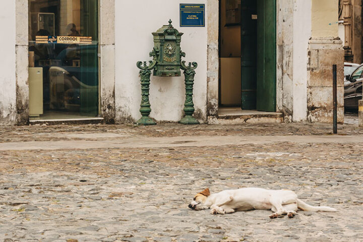 Cruzeiro de São Francisco, Salvador da Bahia, Brasilien