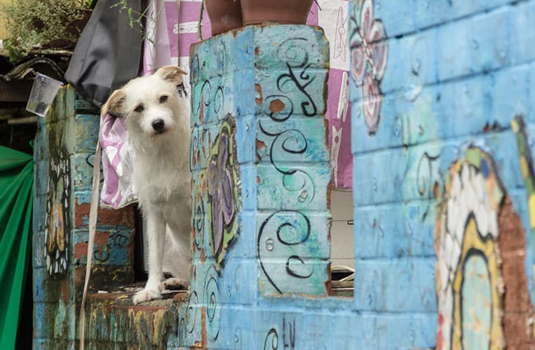 In den bunten Innenhöfen vo Vila Canoas