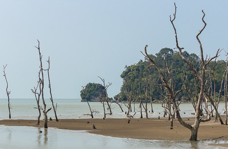 Der Bako Nationalpark