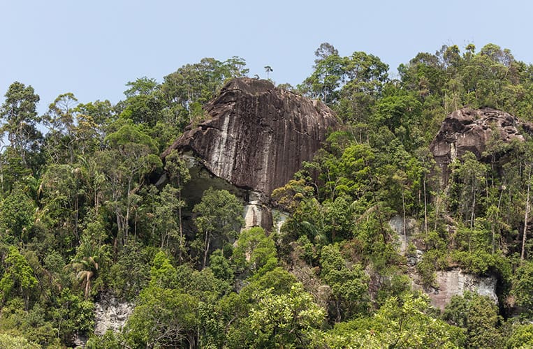Der Bako Nationalpark