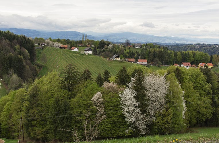 Natur pur rund um das Haus
