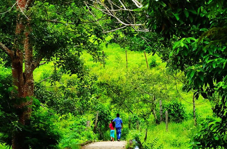 Das kleine Dorf Puerto Nariño