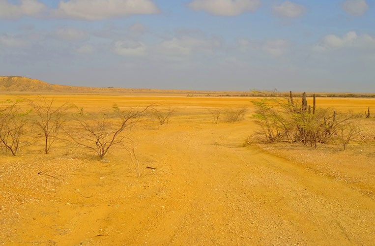 Die weite Wüste La Guajira