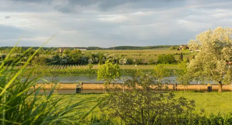 Die luxemburgische Mosel entdecken