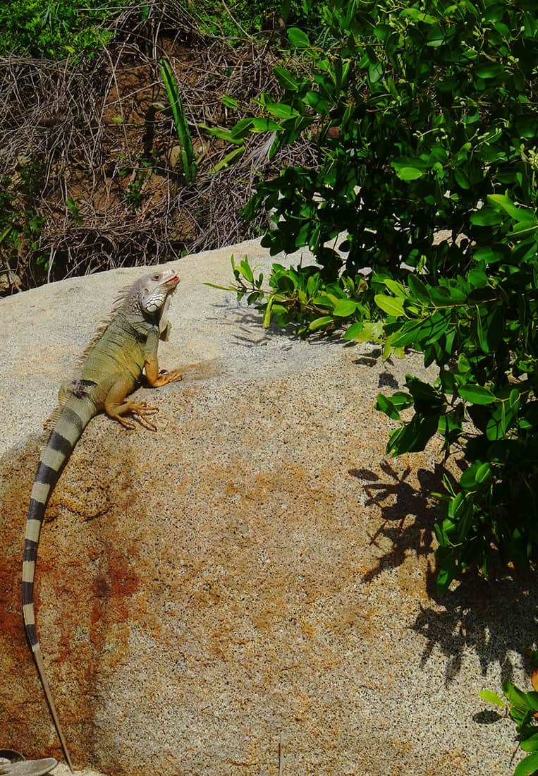 Parque Nacional Natural Tayrona
