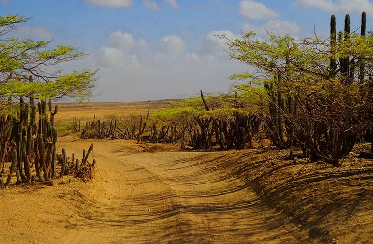 Die unbefestigte Straße von Punta Gallina zurück in die Zivilisation