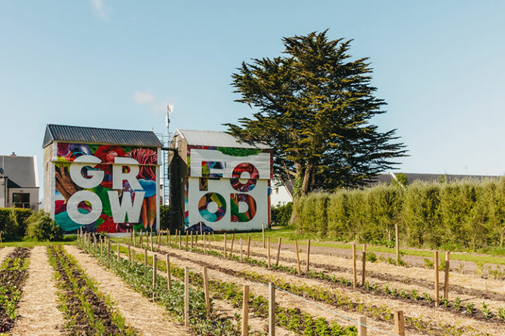 Ballymaloe Cookery School, Organic Farm and Gardens, Irland