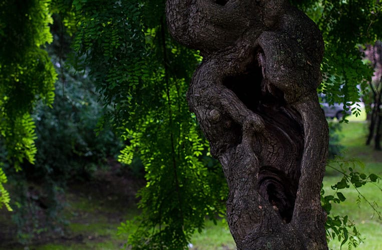 Zagreb und der Umgebung