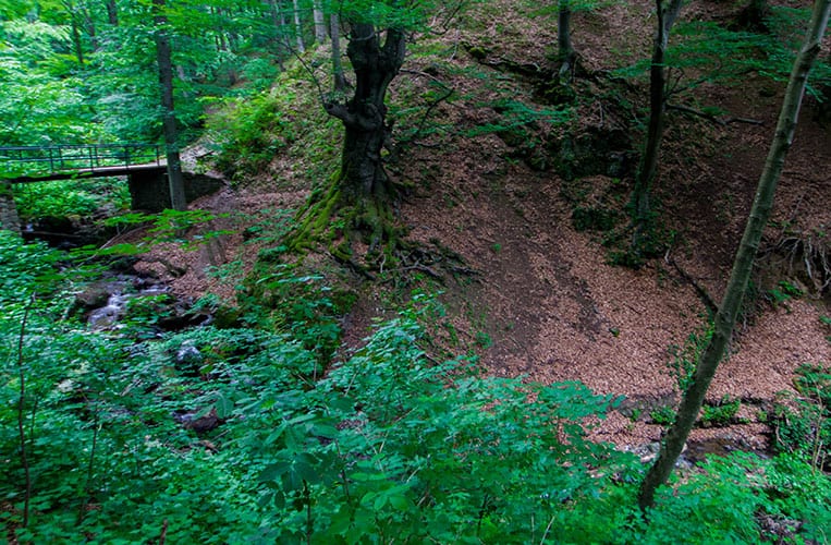 Stadtberg Sljeme – Zagreb