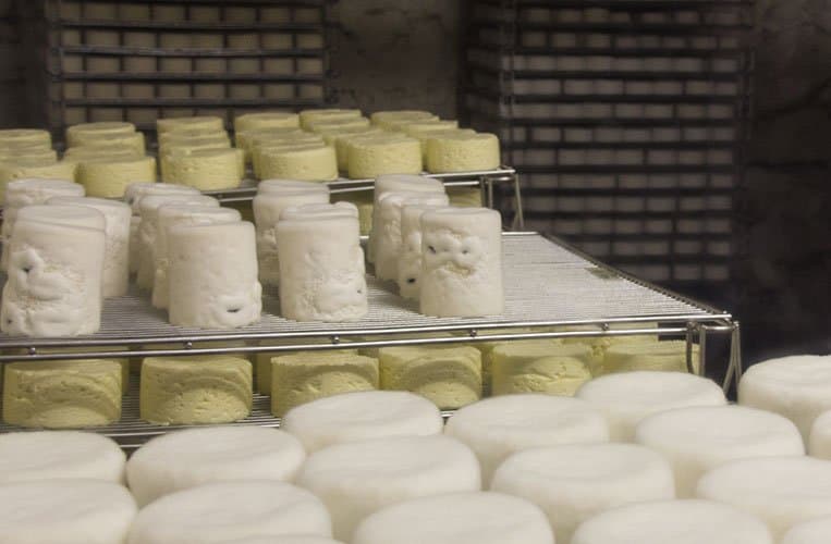 Hier reift der Käse