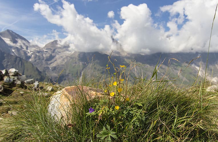 Ein Roadtrip auf der Großglockner Hochalpenstrasse