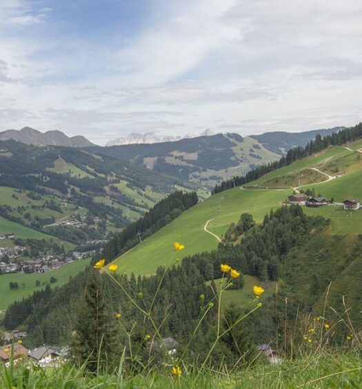 Natur & Genuss Pur in Saalbach-Hinterglemm