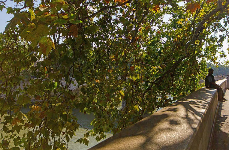 Rom Food & City Guide