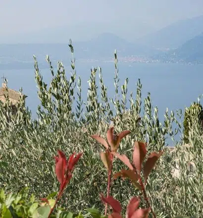 Kochkurs am Gardasee