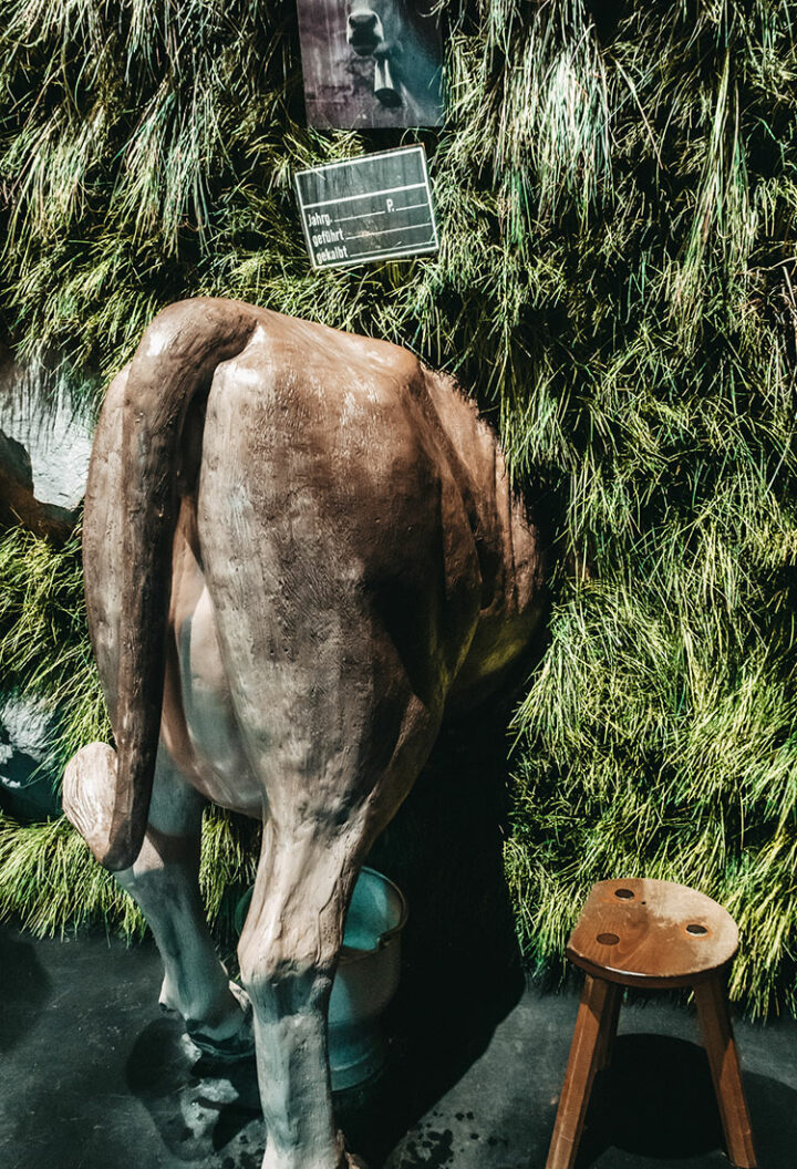 Das Klimahaus 8° Ost, Bremerhaven