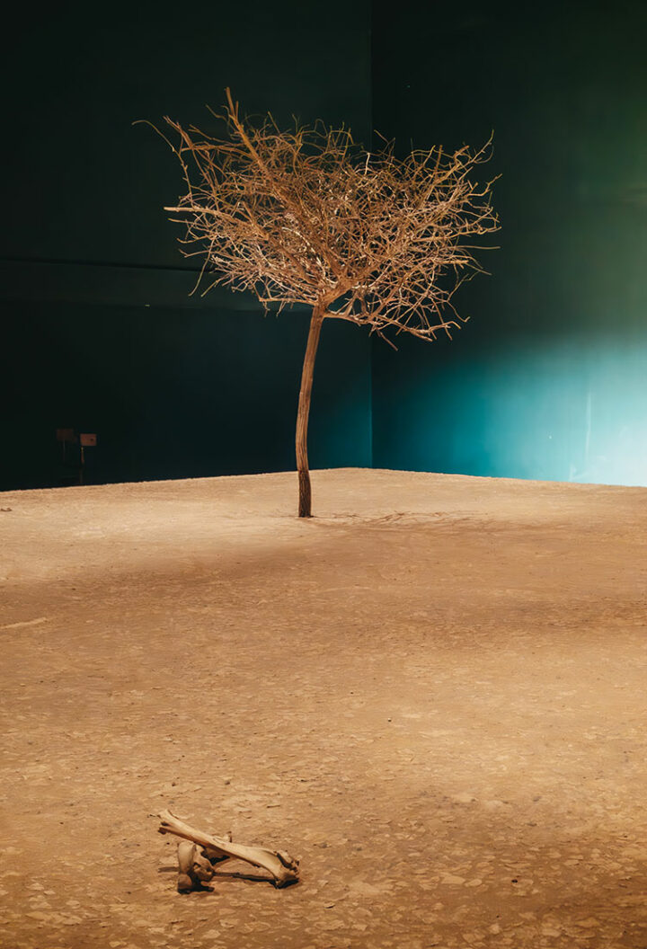 Das Klimahaus 8° Ost, Bremerhaven