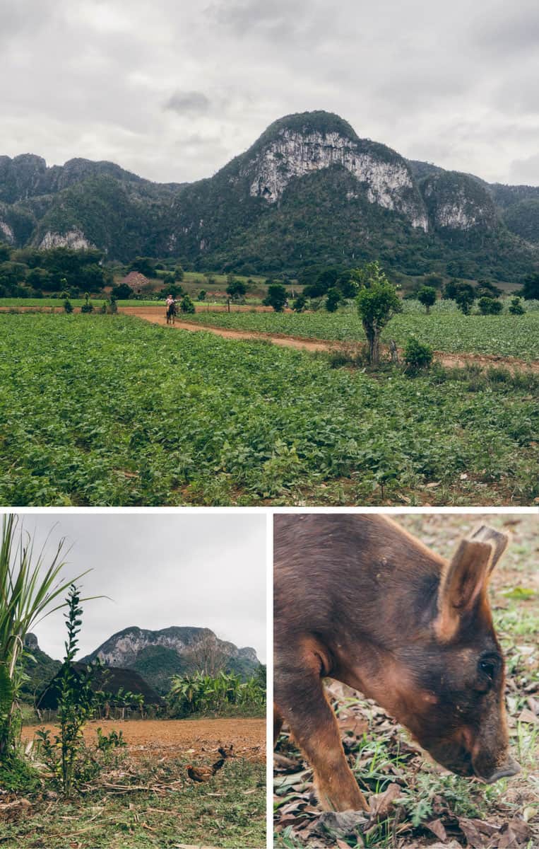 Bei den Tabakbauern im Vinales-Tal