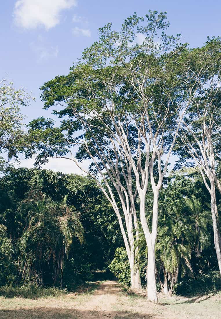 Jardin Botánico Soledad, Cienfuegos, Kuba