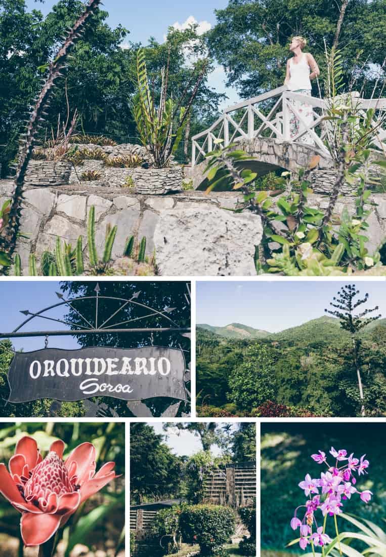 Orchideengarten in Soroa, Kuba