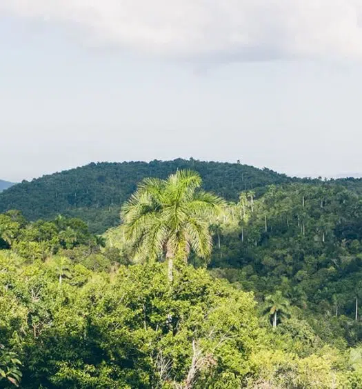 Soroa und Las Terrazas – Kubas Westen