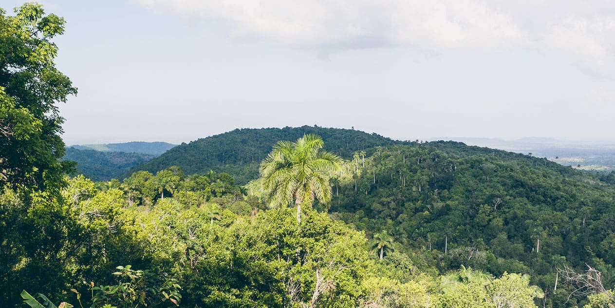 Soroa und Las Terrazas – Kubas Westen