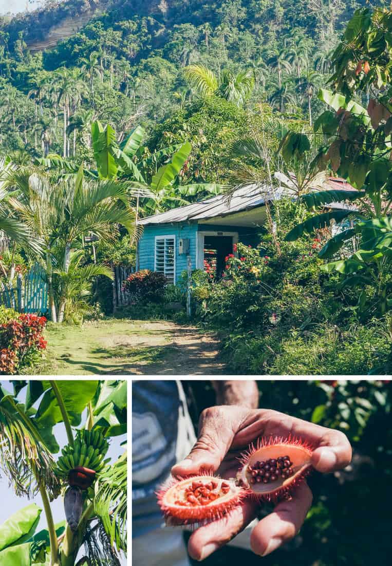 Baracoa: Das Natur- und Schokoladenparadies Kubas