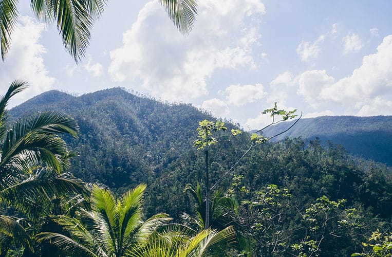 Parque Nacional Alejandro de Humboldt, Baracoa, Kuba