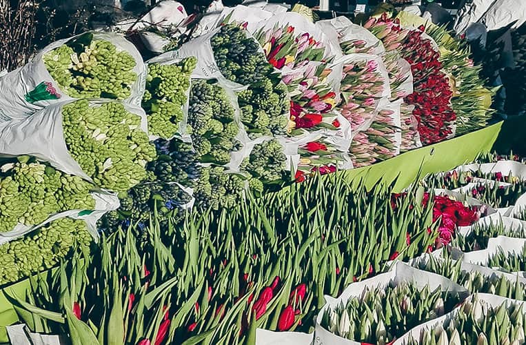 City Guide Amersfoort und Roermond