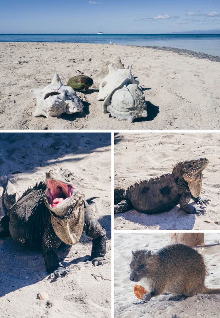 Cayo Iguana, Trinidad, Kuba