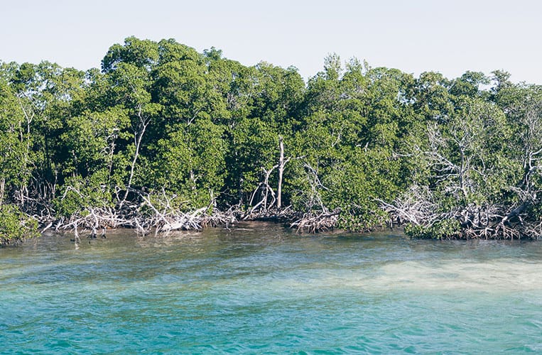 Kuba: Die paradiesische Cayo Levisa