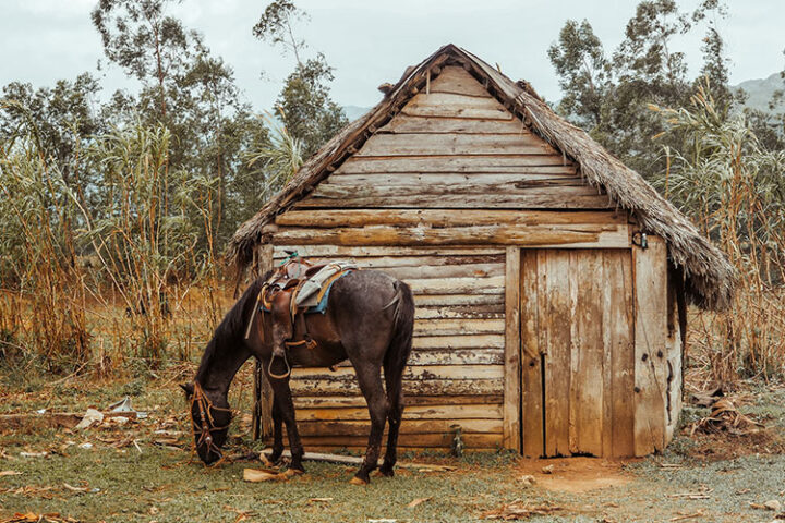 Valle de Viñales – Kuba