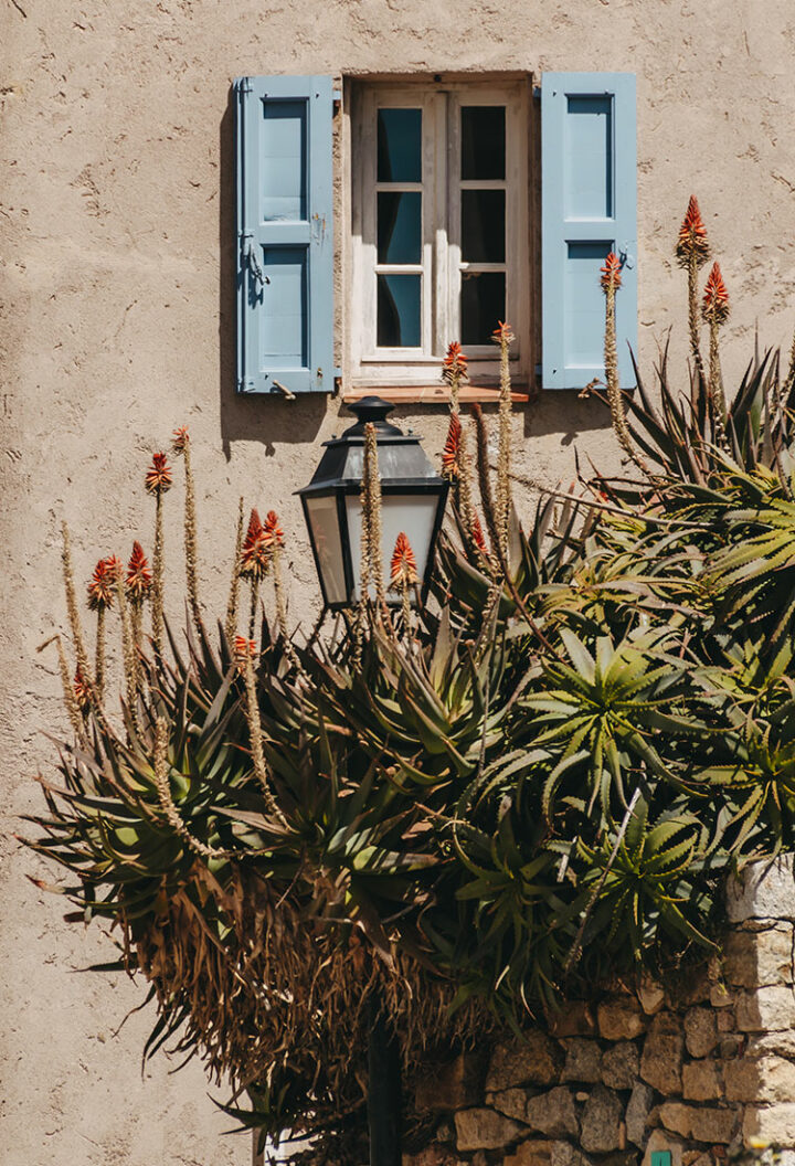 Zitadellenstadt Calvi, Balagne, Frankreich