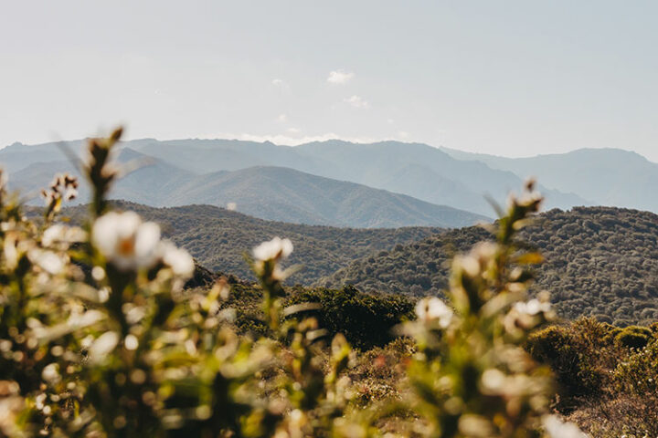 Désert des Agriates, Korsika, Frankreich