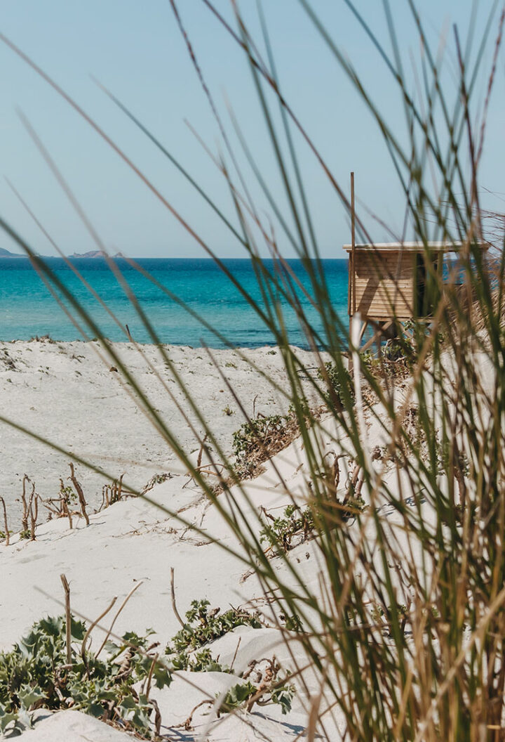 Désert des Agriates, Korsika, Frankreich